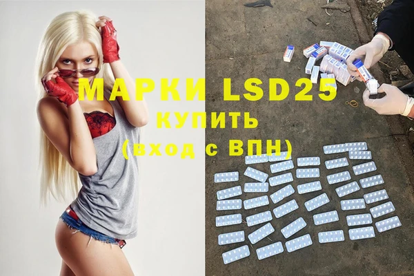 ПСИЛОЦИБИНОВЫЕ ГРИБЫ Анива