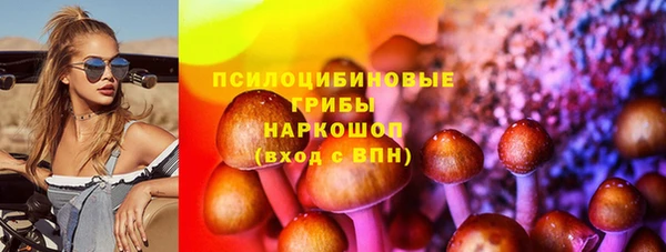 амф Михайловск