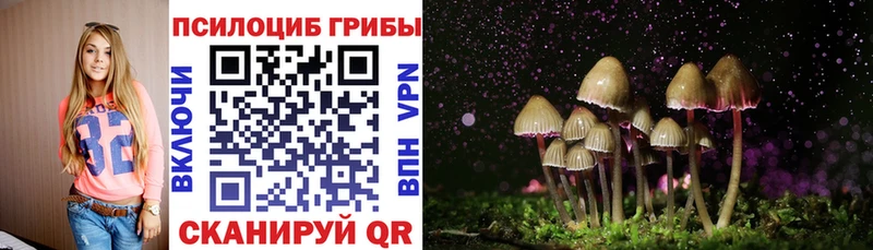 Галлюциногенные грибы MAGIC MUSHROOMS  Ясногорск 